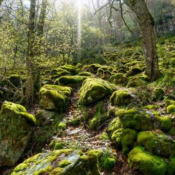 Mantenimiento de fosas sépticas en empresa agrícola Tarazona